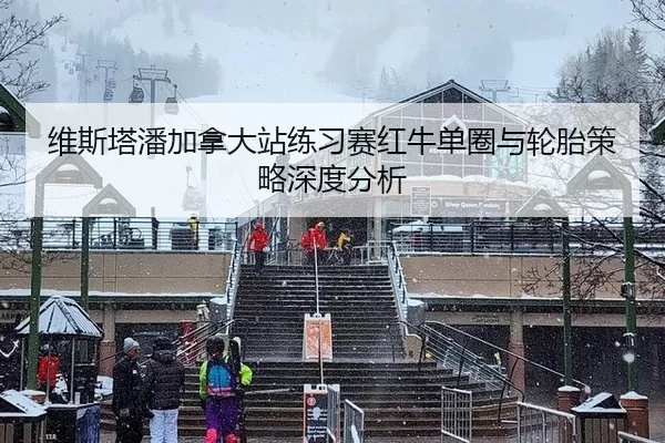 维斯塔潘加拿大站练习赛红牛单圈与轮胎策略深度分析